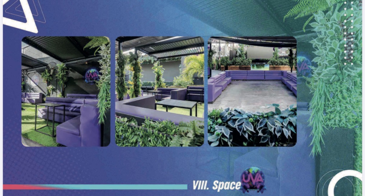 Electric Lady — outdoor garden lounge with plants and seating